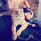 АлинаТранс, 8 926 635-35-33 АлинаТранс, Сочи